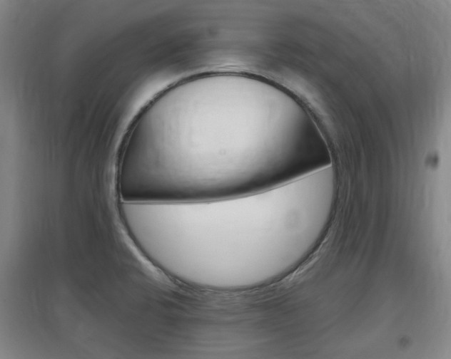 X0000097461424200802220756