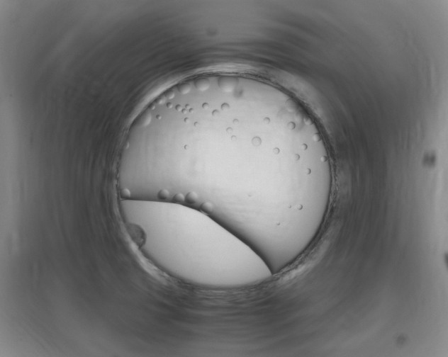 X0000097461425200802220756