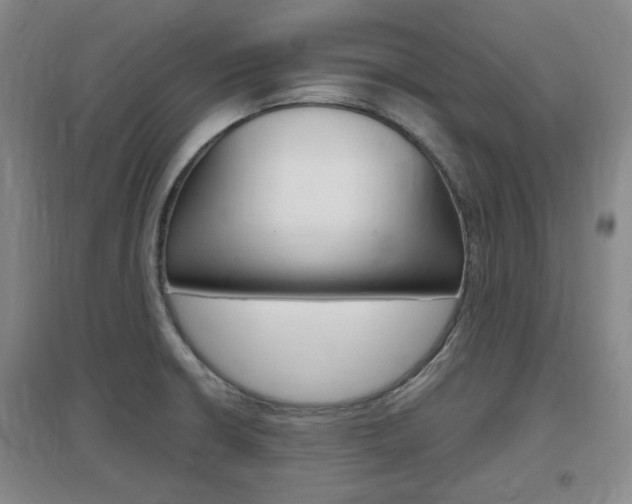 X0000097461426200802220756