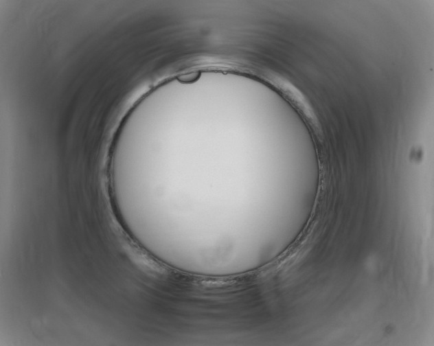 X0000097461427200802220756