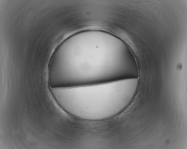 X0000097461428200802220756