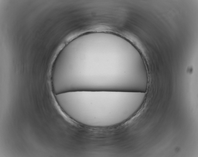 X0000097461429200802220756