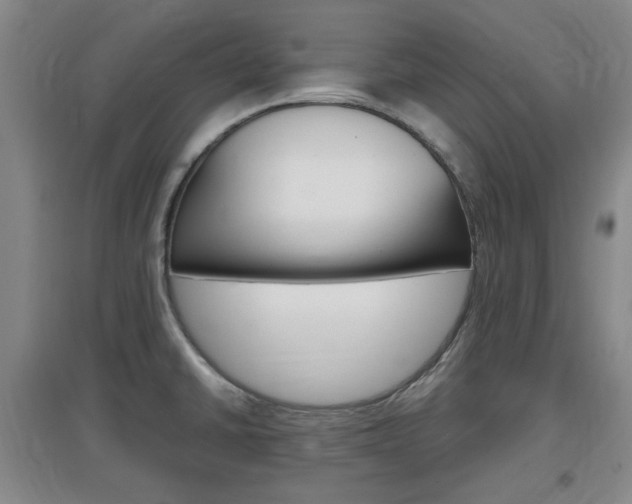 X0000097461430200802220756