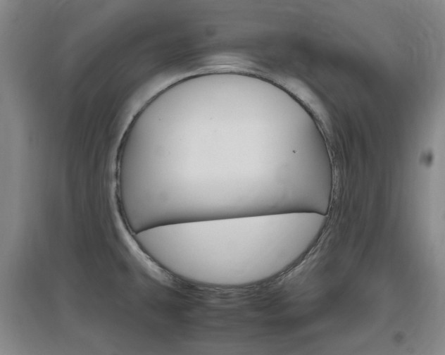 X0000097461431200802220756