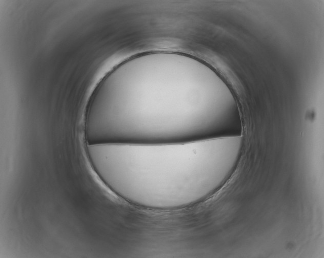 X0000097461432200802220756