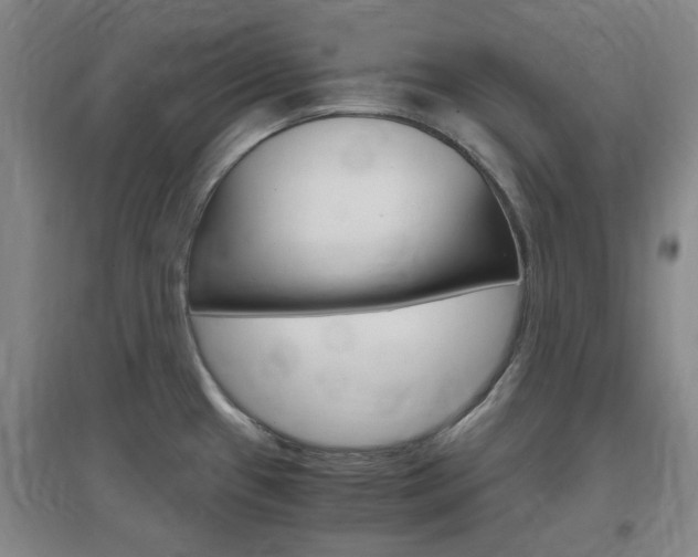 X0000097461433200802220756