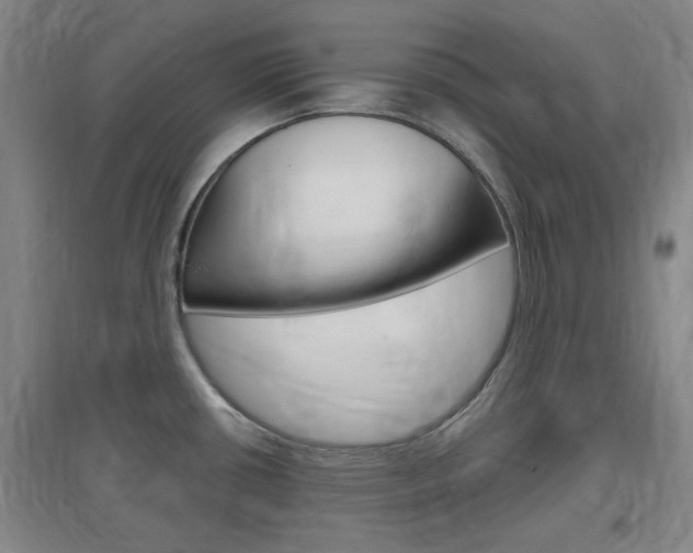 X0000097461434200802220756