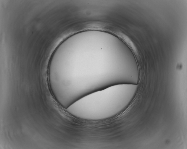 X0000097461435200802220756
