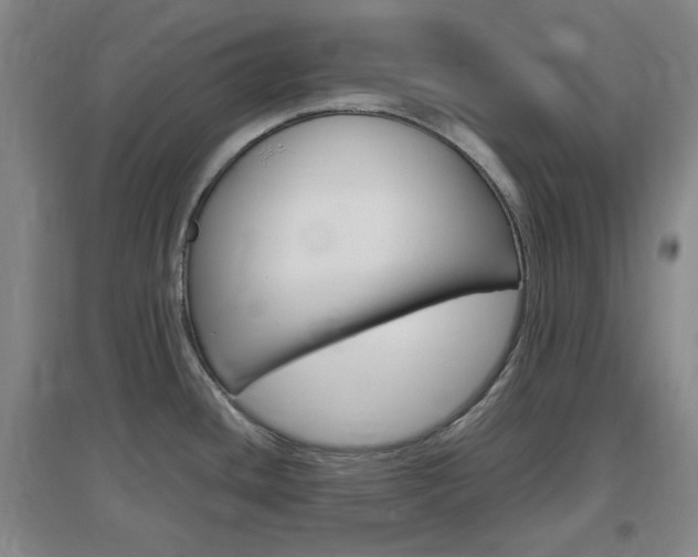 X0000097461436200802220757