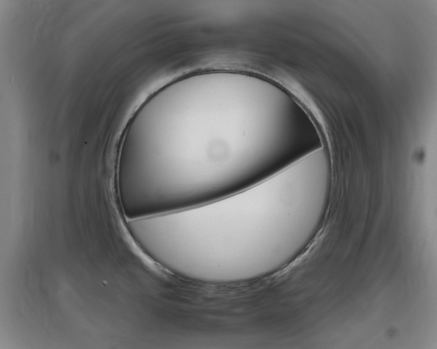 X0000097461437200802220757