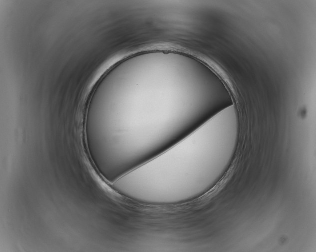 X0000097461438200802220757