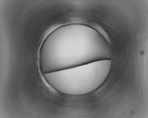 X0000097461439200802220757