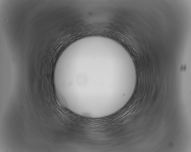 X0000097461441200802220756