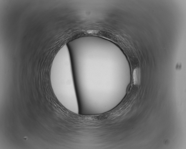 X0000097461443200802220756