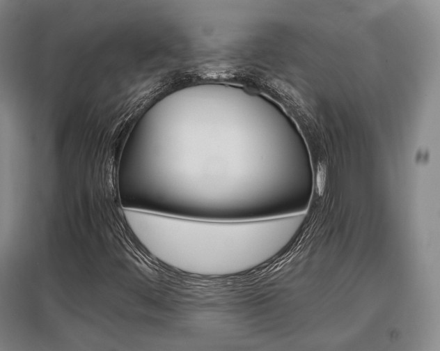 X0000097461444200802220756