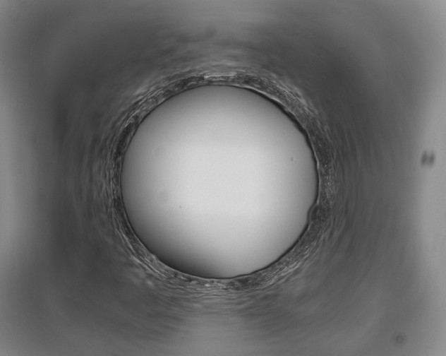 X0000097461445200802220756
