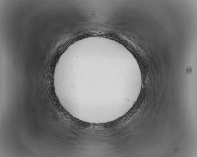 X0000097461447200802220756