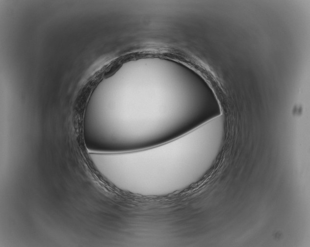 X0000097461448200802220756