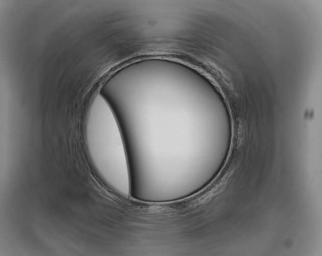 X0000097461449200802220756
