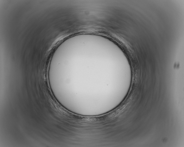 X0000097461451200802220756