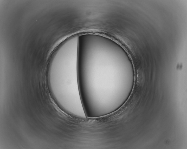 X0000097461452200802220756