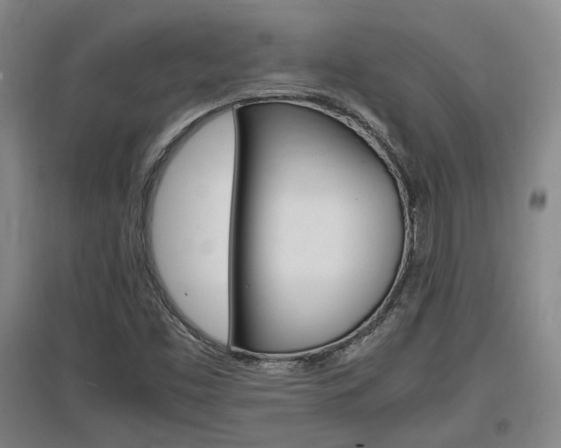 X0000097461453200802220756