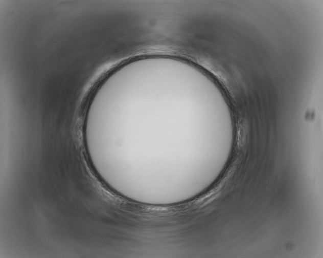 X0000097461454200802220756