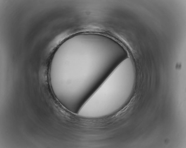X0000097461455200802220756