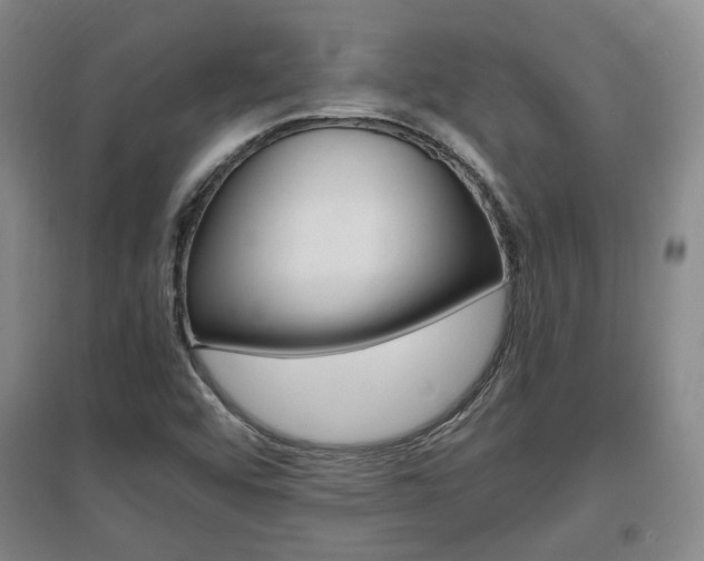 X0000097461456200802220756