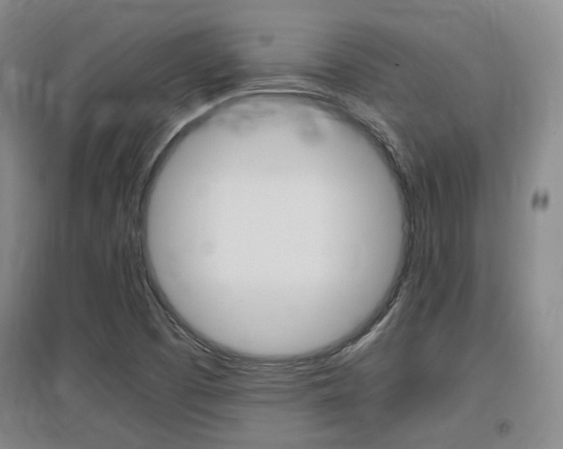 X0000097461457200802220756