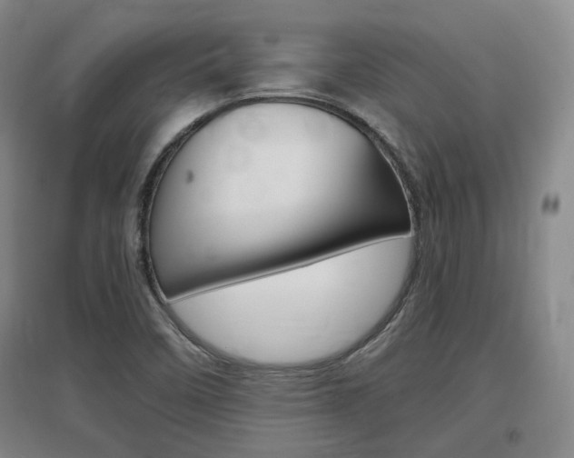 X0000097461458200802220756