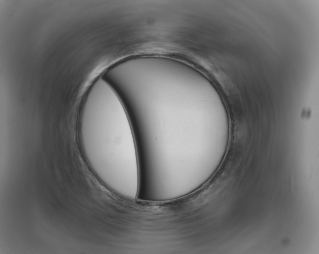 X0000097461459200802220756