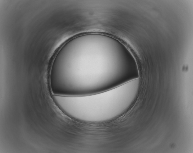 X0000097461460200802220756