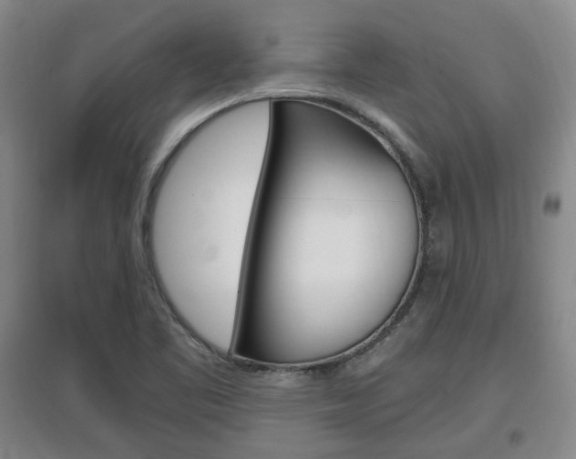 X0000097461461200802220756