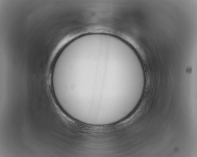 X0000097461462200802220756