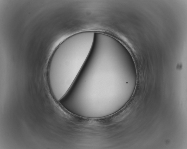 X0000097461463200802220756