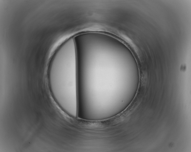 X0000097461464200802220756