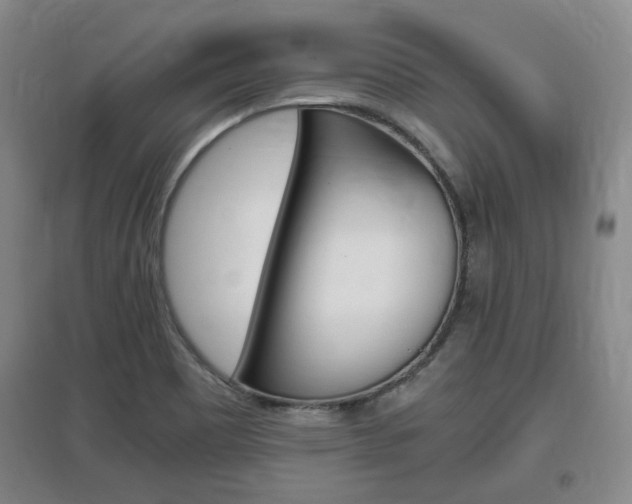 X0000097461465200802220756