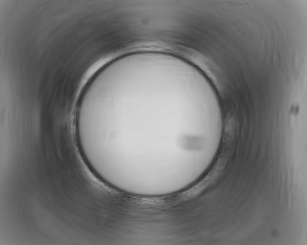 X0000097461466200802220756