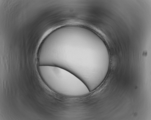 X0000097461467200802220756