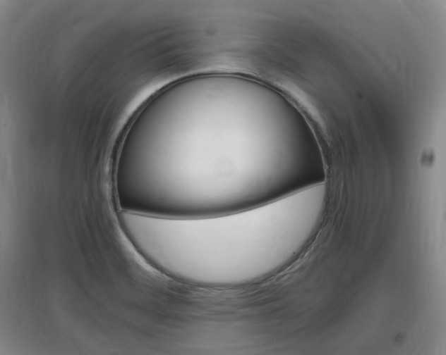 X0000097461468200802220756
