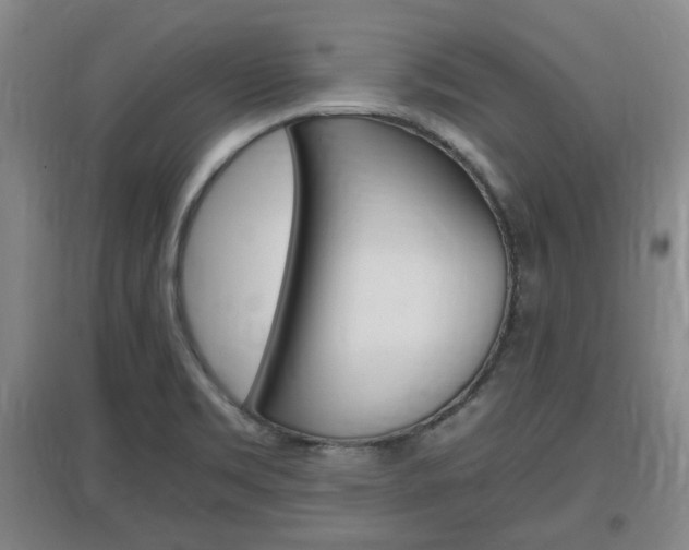 X0000097461469200802220756