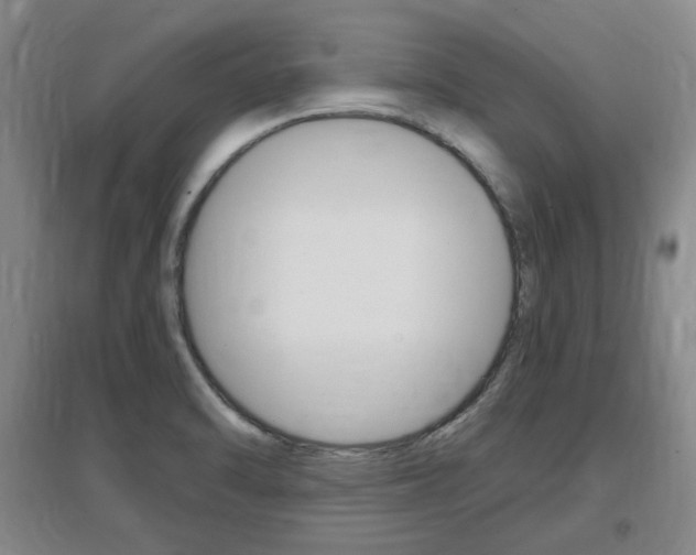 X0000097461470200802220756