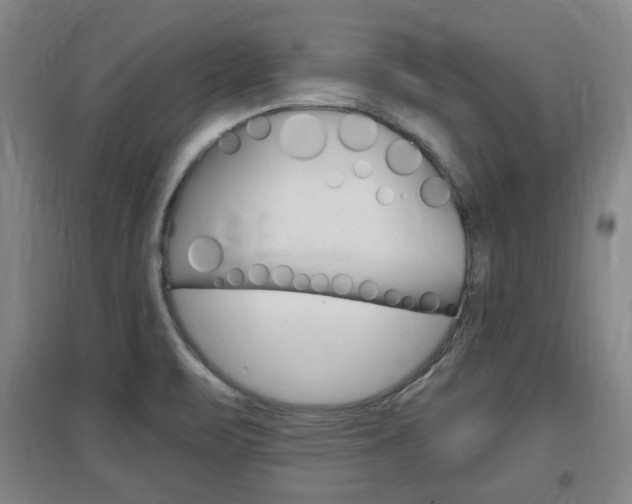 X0000097461471200802220755
