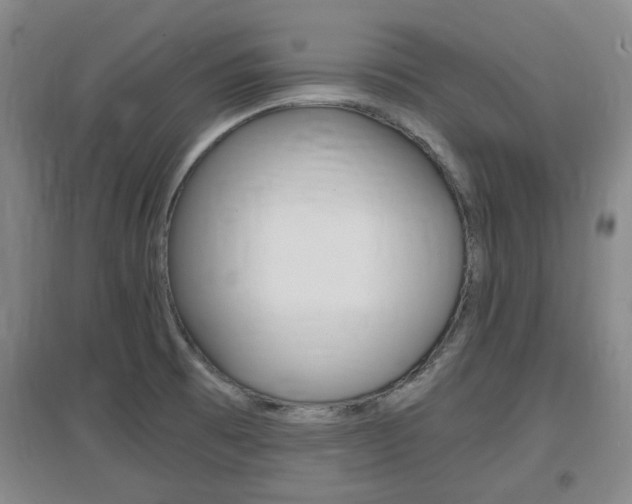 X0000097461473200802220755