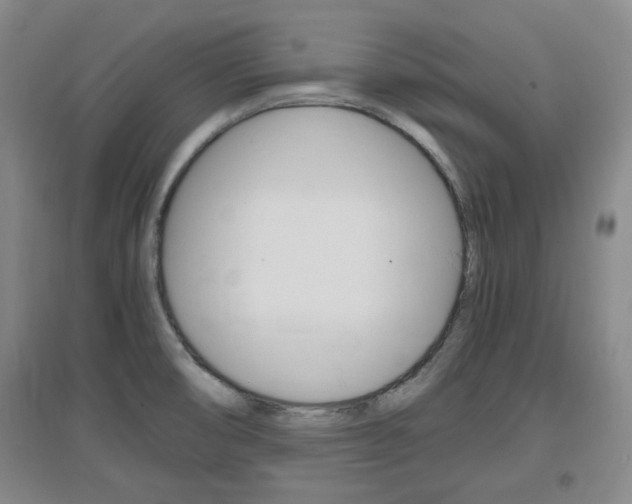 X0000097461474200802220755