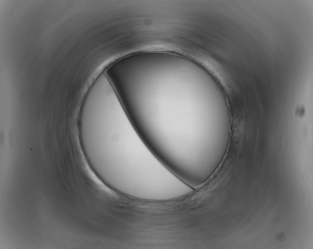 X0000097461476200802220755