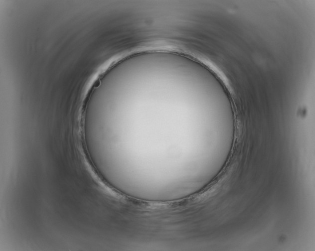 X0000097461477200802220755