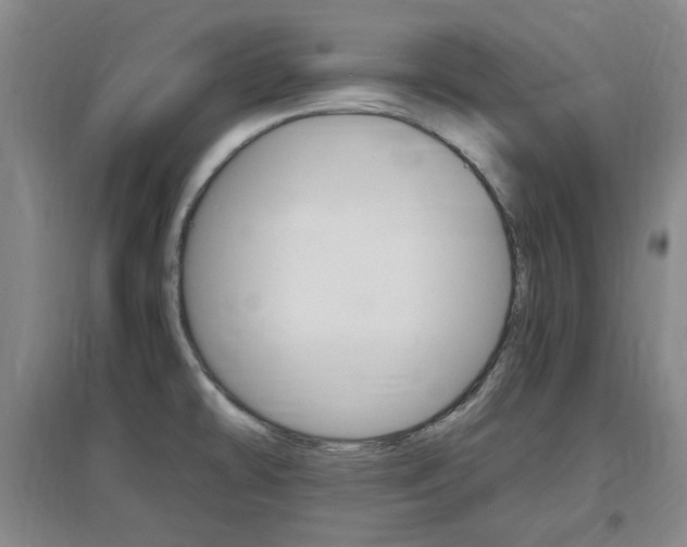 X0000097461478200802220755