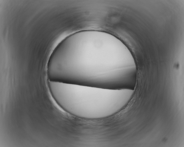 X0000097461479200802220755